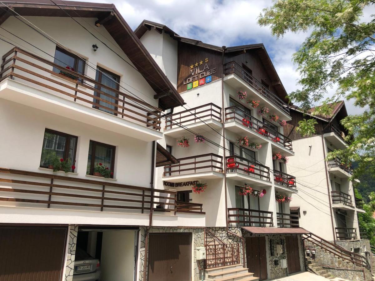 Vila Loft Cube 锡纳亚 外观 照片